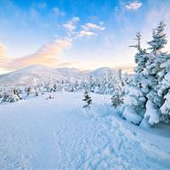 GKGAさんのアイコン画像