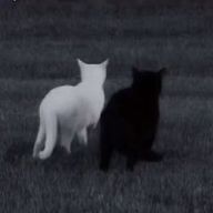 まうさんのアイコン画像