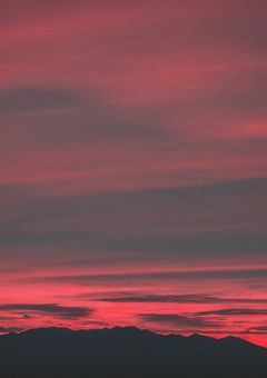 ブラック企業と、それでも生きる私達。