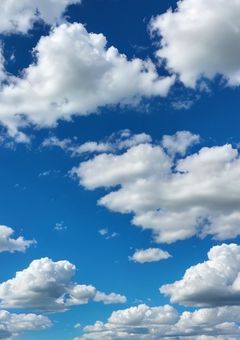 白夜　藍夜さん　専用