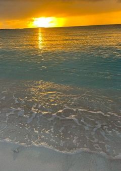 実写（期待すんな）