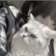 　阿　勢　猫　＠ 低 浮 上さんのアイコン画像