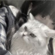 　阿　勢　猫さんのアイコン画像