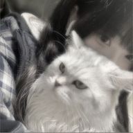 阿 勢 猫さんのアイコン画像