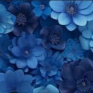 柊悠希さんのアイコン画像