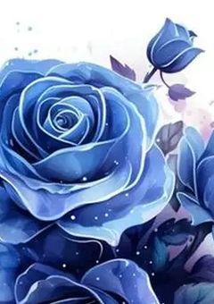 ⟡꙳ 𝘴𝘵𝘶𝘥𝘺 𝘳𝘰𝘰𝘮