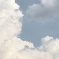 SN.LIL𓂃☆さんのアイコン画像