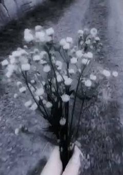 # 9 9 輪 本 の 霞 草 を 君 に