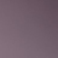 🪻さんのアイコン画像