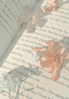 ˗ˏˋ ꜱᴛᴜᴅʏʀᴏᴏᴍ ˎˊ˗