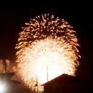 シュナさんのアイコン画像