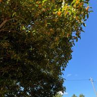 ゆーーーきさんのアイコン画像