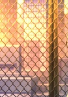 瑞希推しの夢みたいな物語