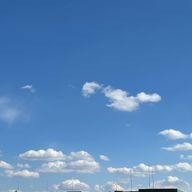 ( ◜ᴗ◝)さんのアイコン画像