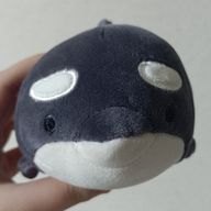 るうさんのアイコン画像