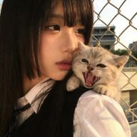                         四十万  環さんのアイコン画像