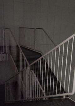 僕らの生きるための仮死