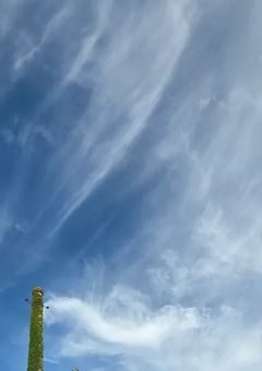 交換宣伝！+普通に宣伝