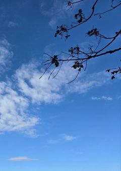 愚痴部屋でしてよ