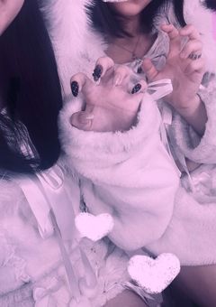 雑な実写ちゃん  ︎‪ 𓈒𓏸❤︎‪𓋪◌