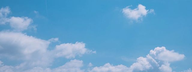 柚子湯さんの壁紙画像