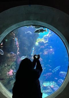 Hi-START project始めます