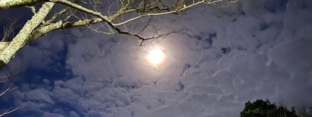 黒い毛玉さんの壁紙画像