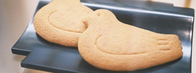 はとさぶれ🕊️さんの壁紙画像