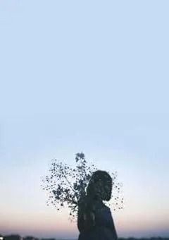 𝘒𝘢𝘨𝘪𝘺𝘢'𝘴 𝘝𝘭𝘰𝘨 .