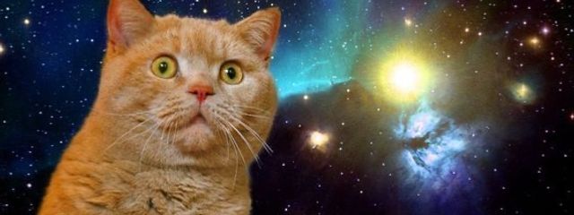 匿名K@低浮上…？さんの壁紙画像