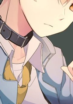 「コイ」ってなに…？