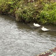 きあさんのアイコン画像