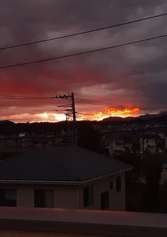 るかの！日常生活情報ーーー！