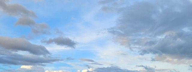 レイさんの壁紙画像