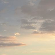 🐿️💭💞🌟さんのアイコン画像