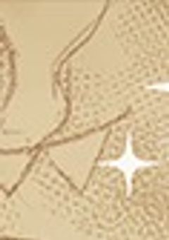 助けられるのはたった一人だけ