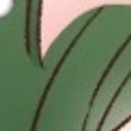 midori／多忙極め中さんのアイコン画像