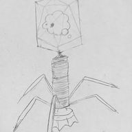 さきんさんのアイコン画像