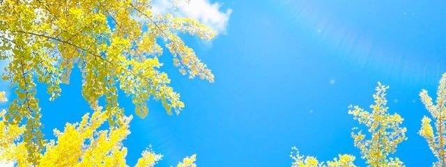 ANMITUさんの壁紙画像