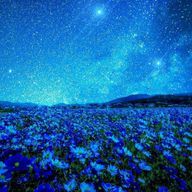 ANMITUさんのアイコン画像