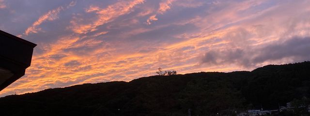 音霧かなさんの壁紙画像