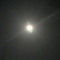 しおさんのアイコン画像
