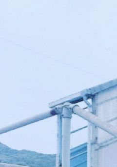 不良クンは、案外可愛い