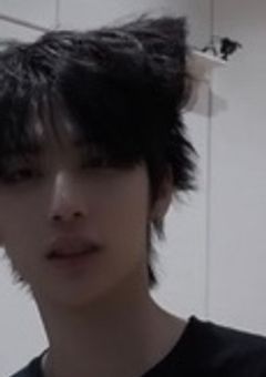 訳ありな黒い捨て猫拾いました