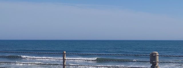 ﾀﾏｺﾞさんの壁紙画像