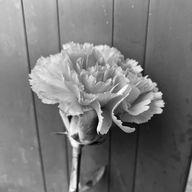 ソラ(交換宣伝募集中 🧃🌙)さんのアイコン画像