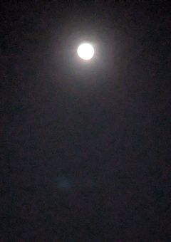 音駒高校のマネは孤爪研磨の彼女だそうで