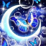 Rieさんのアイコン画像