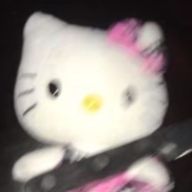 ささの助。さんのアイコン画像