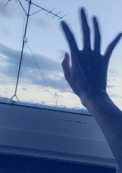 病んでるときの虎の巻